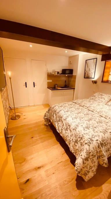 Renove Avec Patio, Coeur Du Centre Besançon