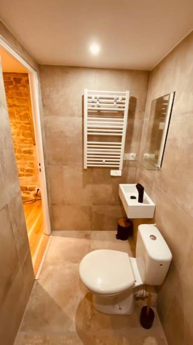 Renove Avec Patio, Coeur Du Centre * Besançon